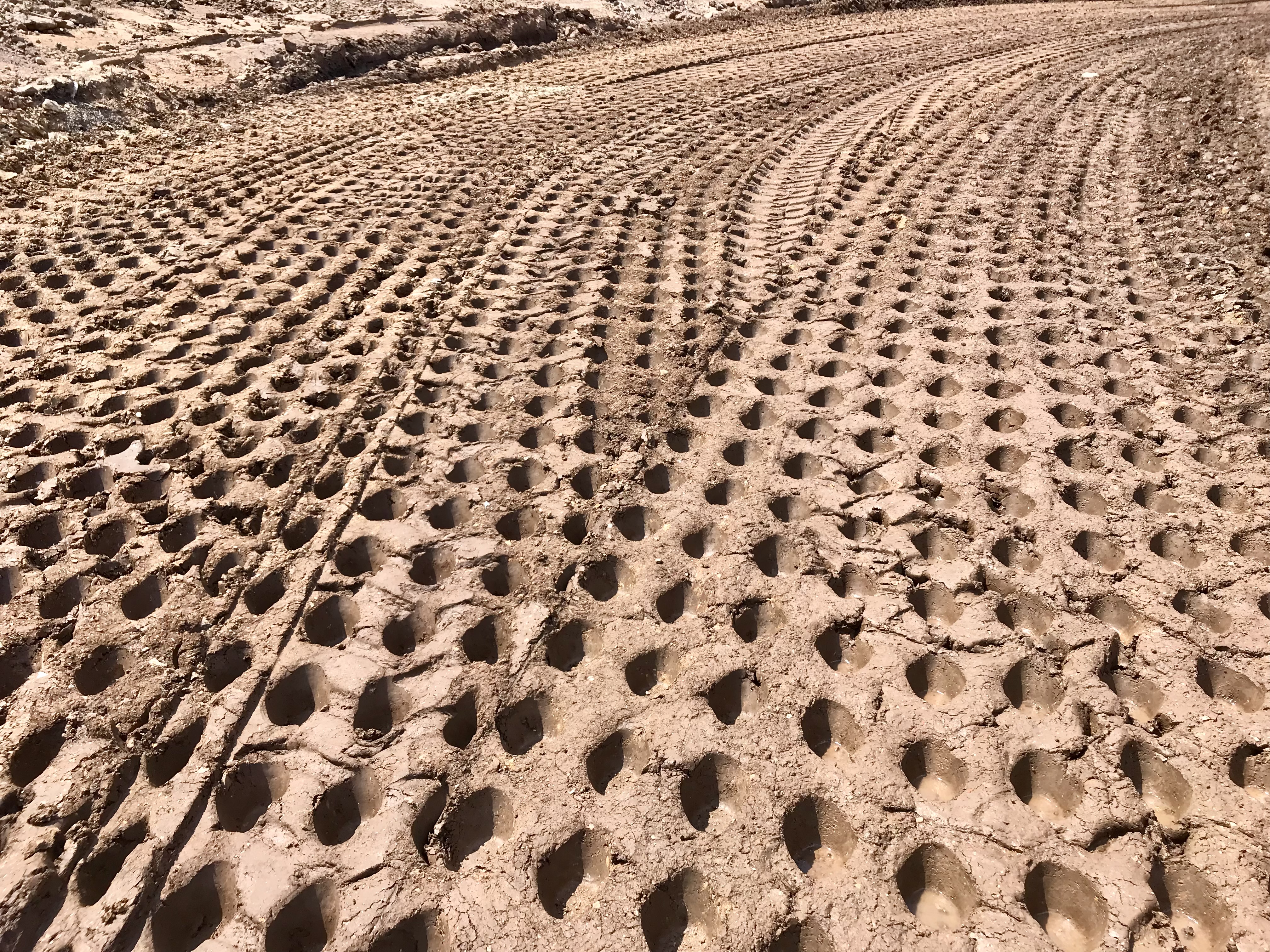 Close-up of compacted earth showing pad foot roller tracks on an earthmoving site in Queensland